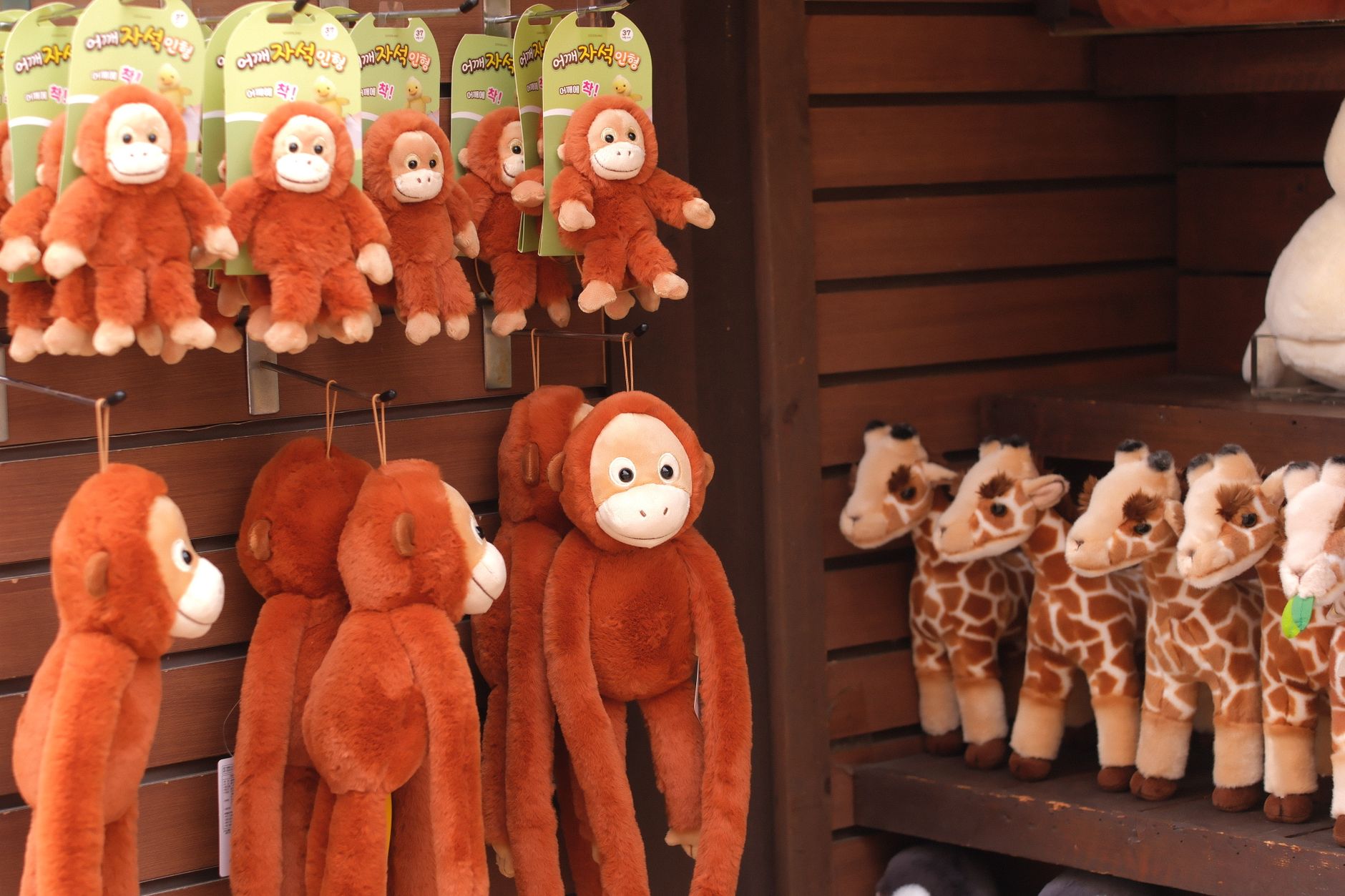 Display of cute monkey and giraffe plush toys in a store setting, perfect for children's gifts.