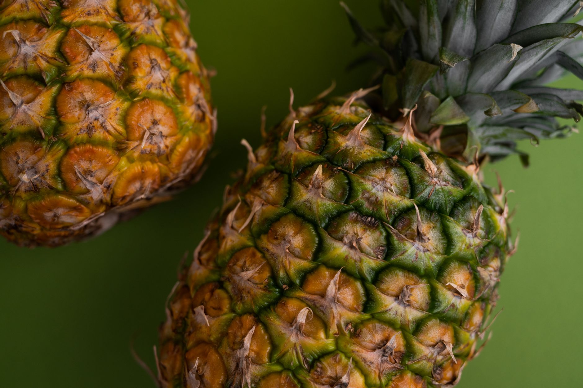 Top view of delicious whole pineapples with green crown and brown peel placed together on green background in light studio